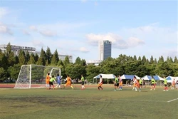 800余名在韩越南留学生积极参加第12届运动会