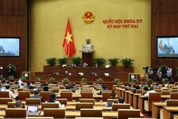 第十五届国会第二次会议：国会代表讨论4个省发展的特别机制和特殊政策的决议草案