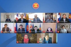 东盟与印度联合合作委员会第21次会议以视频形式召开
