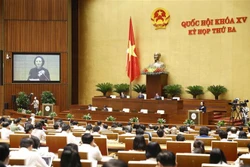 第十五届国会第三次会议：维护家庭和民族的良好传统文化价值