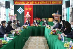 越南国家副主席武氏映春赴广治省调研 