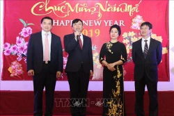 2019己亥年迎春见面会在美国纽约举行