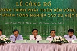 越南橡胶工业集团公布2019-2024年可持续发展计划
