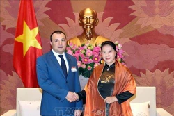 越南国会主席阮氏金银会见亚美尼亚国民议会副议长