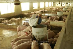 2022年越南肉类及肉制品进口需求难以大幅增加