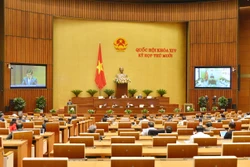 第十四届国会第十次会议：各类重犯均呈现下降趋势