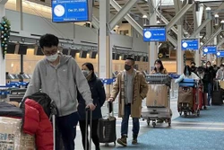 新冠肺炎疫情：将在加拿大、日本和中国台湾滞留的越南公民安全接回国