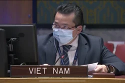 越南对刚果的暴力和动荡局势表示担忧