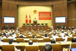 深入学习贯彻越南共产党第十三届中央委员会第五次会议决议精神