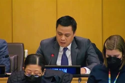 越南强调儿童一直是一切政策和发展战略的核心