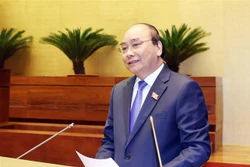 国会第十次会议：政府总理阮春福接受代表询问