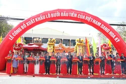 越南首批柚子通过正贸渠道出口到美国