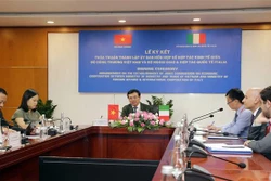 越南与意大利经济合作混合委员会成立