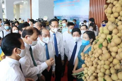 中国驻越南大使馆经济商务参赞：愿充当桥梁和纽带 助推兴安省龙眼及其他农产品销售