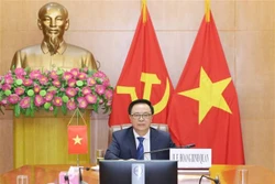 越南在国际政党圆桌视频会议上分享新冠肺炎疫情防控经验