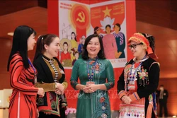 新时代越南妇女崛起的愿望