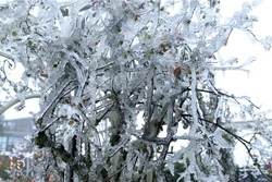 越南北部和北中部出现严寒天气 北部高山区局地气温在0摄氏度以下
