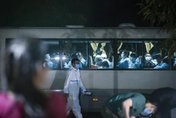 新冠肺炎疫情：全国确诊病例1113例 治愈出院病例1026例