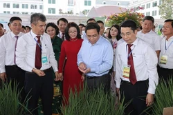 越南政府总理范明政：将传统农业经验与科技和创新结合起来 实现农业可持续高效发展