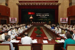 越共胡志明市第十一届委员会召开第三次会议