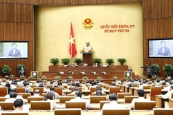 第十五届国会第三次会议：表决通过2023年国会监督工作计划决议