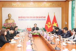 越共中央对外部部长同中国共产党中央对外联络部部长举行视频会谈