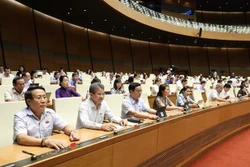 越南第十四届国会第九次会议：通过2021年国会监督计划的决议