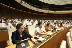 国会表决通过四部法律并对两部法律草案提出意见