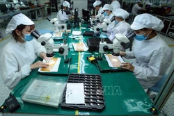 越南对匈牙利商品出口前景广阔