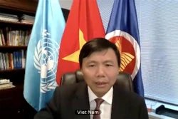 越南呼吁利比亚有关各方早日恢复谈判