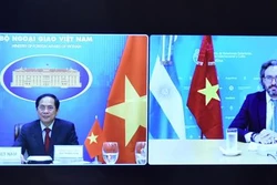 越南外交部长裴青山与阿根廷外交部长卡菲耶罗通电话