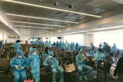 新冠肺炎疫情：340多名越南公民从澳大利亚安全回国