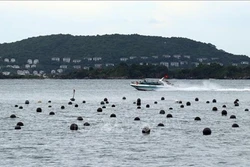 大湄公河次区域国家努力促进旅游行业复苏
