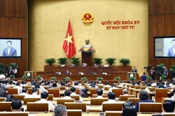第十五届国会第四次会议：坚决及时采取措施 打击和删除社交网络不良和恶意信息
