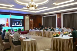 越南-新加坡联合工作组第十次会议以线上形式举行