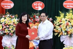 陶红兰任越南卫生部党组书记兼代理部长