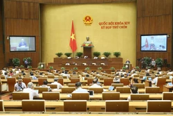 越南第十四届国会第九次会议：提交国会2021-2030年少数民族地区和山区经济社会发展国家目标计划