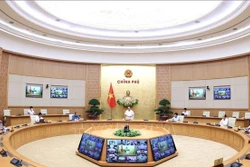 阮春福总理：在不同地方制定有关经济和卫生的有效防疫战略