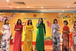 旅居中国香港越南人心系祖国情系家乡