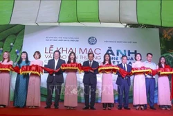2020年越南艺术摄影大赛结果出炉