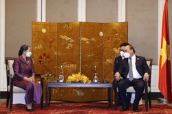 越南国家主席阮春福会见柬埔寨副首相梅森安