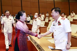 阮氏金银会见维护国家安全先进集体和个人代表团