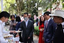 越南在墨西哥传播文化之美