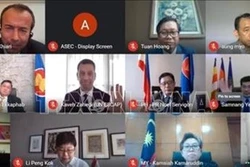 2020东盟主席年：东盟与联合国核查合作活动