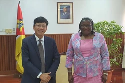莫桑比克赞扬越南在东盟和联合国安理会事务中发挥的积极作用