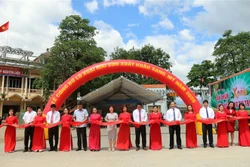 山萝省向美国市场出口30吨芒果