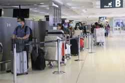 新冠肺炎疫情：350名在澳越南公民安全回国