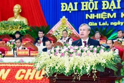 越共中央书记处常务书记陈国旺出席越共嘉莱省第十六次代表大会