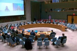 越南支持联合国安理会进行改革