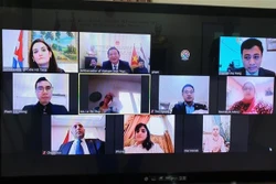 “胡志明主席——民族解放英雄、文化名人”的视频研讨会在埃及举行